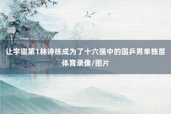 让宇宙第1林诗栋成为了十六强中的国乒男单独苗体育录像/图片