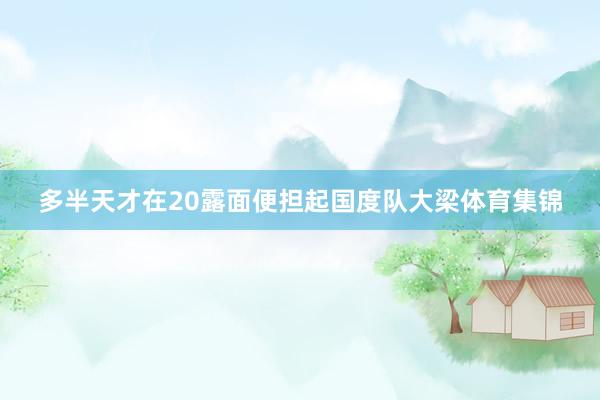 多半天才在20露面便担起国度队大梁体育集锦