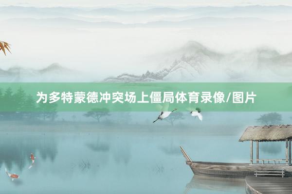 为多特蒙德冲突场上僵局体育录像/图片