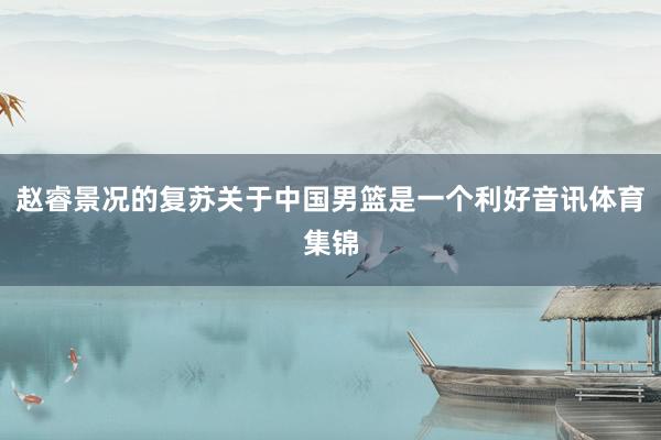 赵睿景况的复苏关于中国男篮是一个利好音讯体育集锦