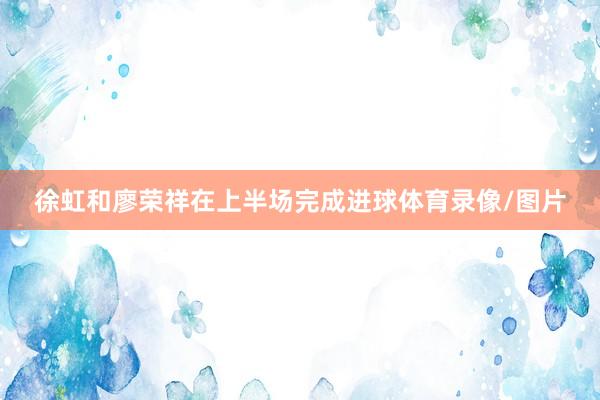 徐虹和廖荣祥在上半场完成进球体育录像/图片