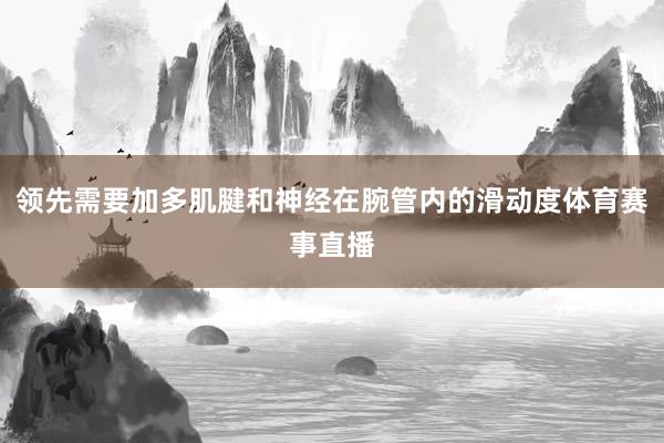 领先需要加多肌腱和神经在腕管内的滑动度体育赛事直播