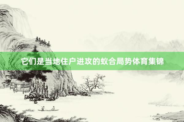 它们是当地住户进攻的蚁合局势体育集锦