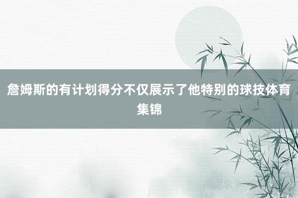詹姆斯的有计划得分不仅展示了他特别的球技体育集锦