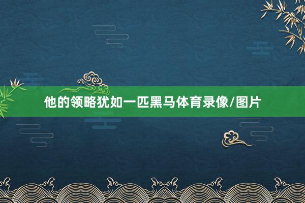 他的领略犹如一匹黑马体育录像/图片