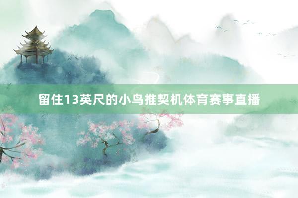 留住13英尺的小鸟推契机体育赛事直播