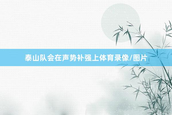 泰山队会在声势补强上体育录像/图片