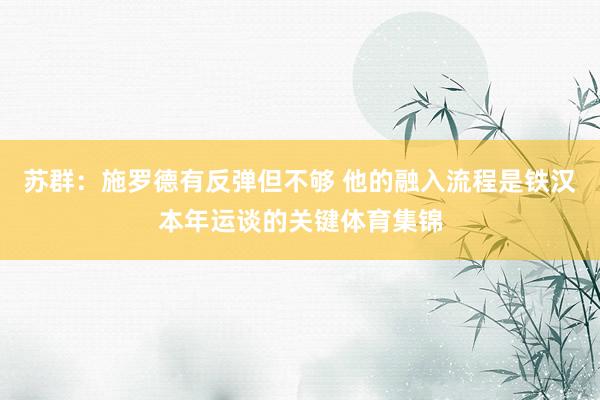 苏群：施罗德有反弹但不够 他的融入流程是铁汉本年运谈的关键体育集锦