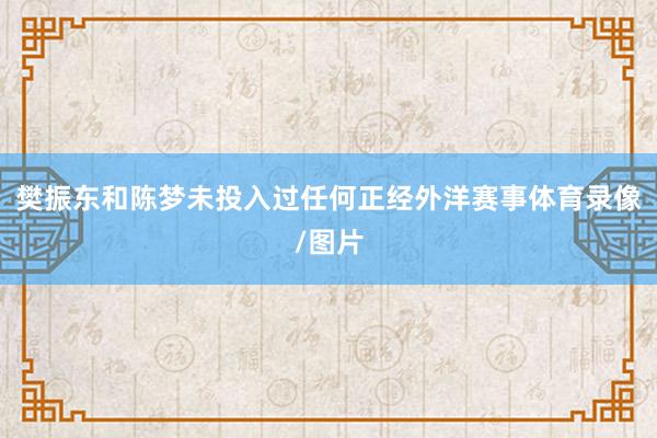 樊振东和陈梦未投入过任何正经外洋赛事体育录像/图片