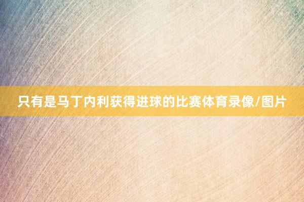 只有是马丁内利获得进球的比赛体育录像/图片