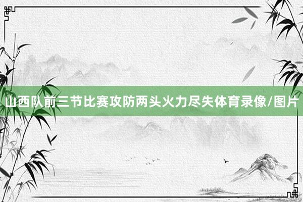 山西队前三节比赛攻防两头火力尽失体育录像/图片