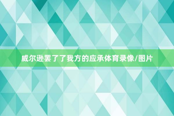 威尔逊罢了了我方的应承体育录像/图片