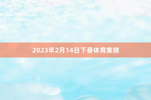 2023年2月14日下昼体育集锦
