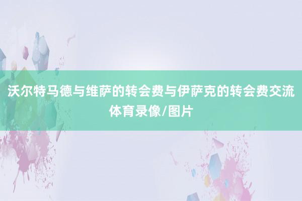 沃尔特马德与维萨的转会费与伊萨克的转会费交流体育录像/图片