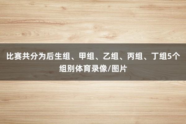 比赛共分为后生组、甲组、乙组、丙组、丁组5个组别体育录像/图片