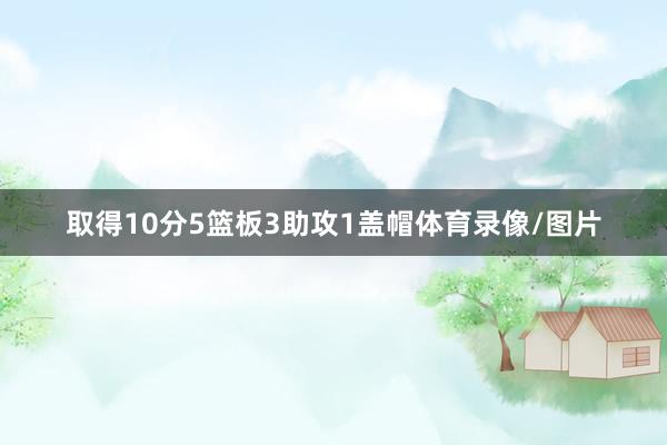 取得10分5篮板3助攻1盖帽体育录像/图片
