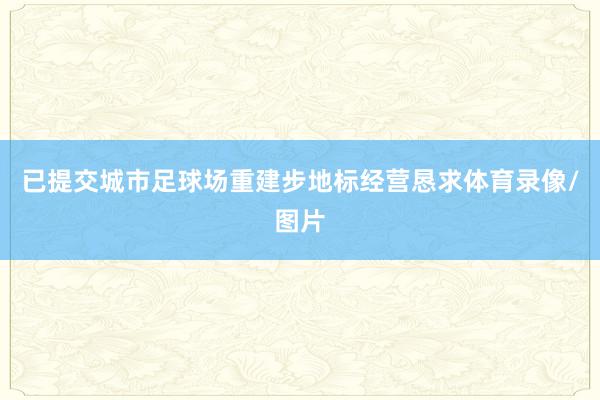 已提交城市足球场重建步地标经营恳求体育录像/图片