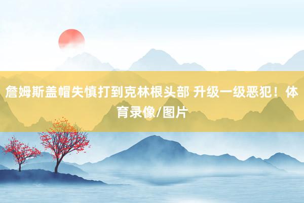 詹姆斯盖帽失慎打到克林根头部 升级一级恶犯！体育录像/图片