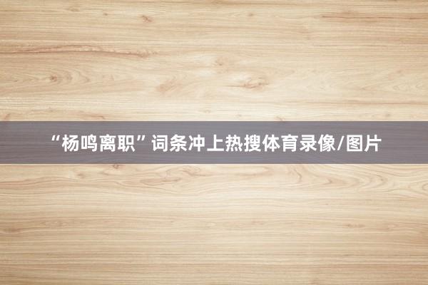 “杨鸣离职”词条冲上热搜体育录像/图片