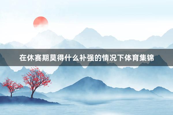 在休赛期莫得什么补强的情况下体育集锦