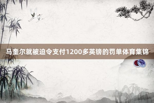 马奎尔就被迫令支付1200多英镑的罚单体育集锦