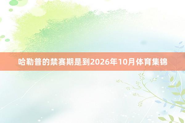 哈勒普的禁赛期是到2026年10月体育集锦