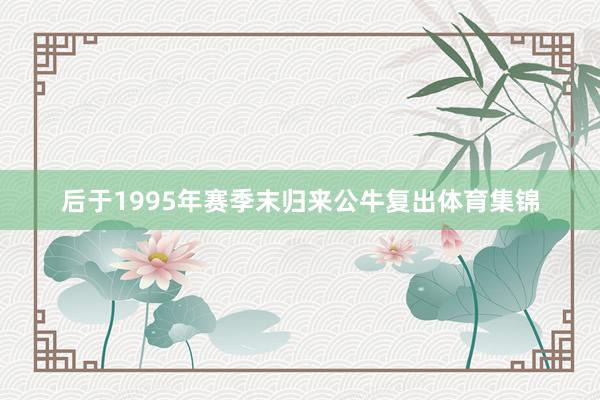后于1995年赛季末归来公牛复出体育集锦