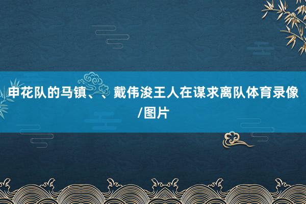 申花队的马镇、、戴伟浚王人在谋求离队体育录像/图片