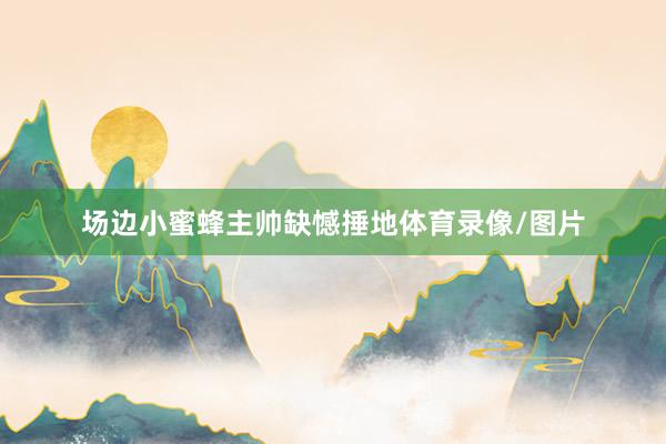 场边小蜜蜂主帅缺憾捶地体育录像/图片