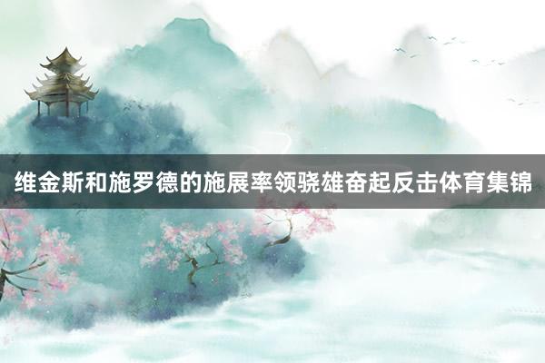 维金斯和施罗德的施展率领骁雄奋起反击体育集锦