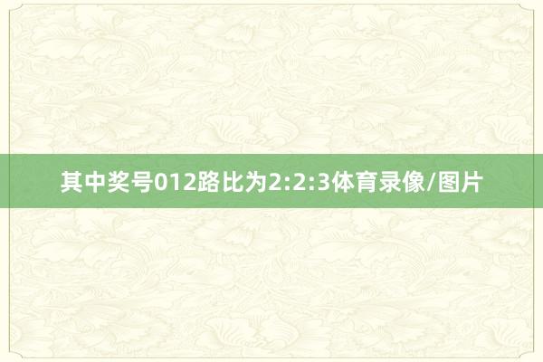 其中奖号012路比为2:2:3体育录像/图片