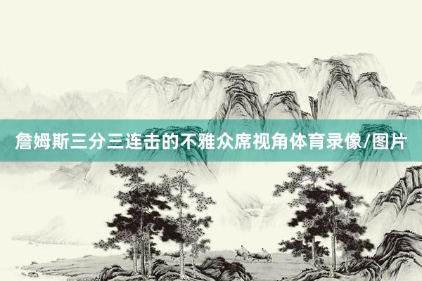 詹姆斯三分三连击的不雅众席视角体育录像/图片