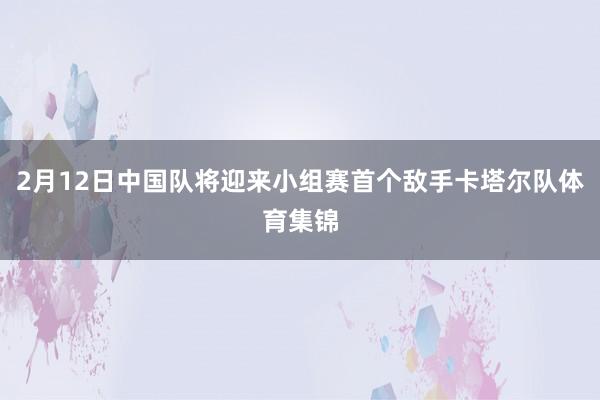 2月12日中国队将迎来小组赛首个敌手卡塔尔队体育集锦