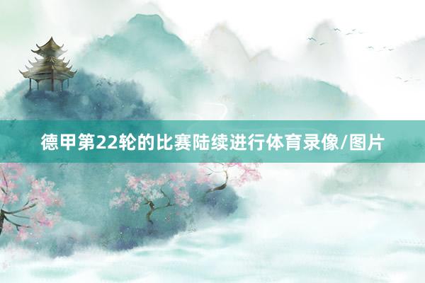 德甲第22轮的比赛陆续进行体育录像/图片