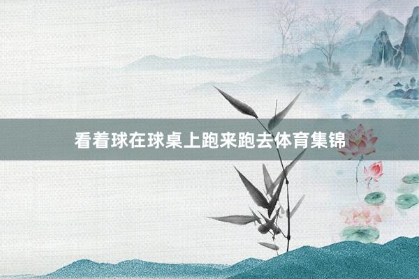 看着球在球桌上跑来跑去体育集锦