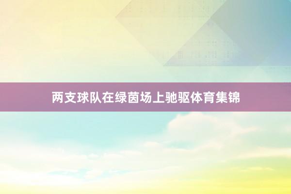 两支球队在绿茵场上驰驱体育集锦