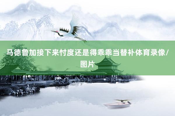 马德鲁加接下来忖度还是得乖乖当替补体育录像/图片