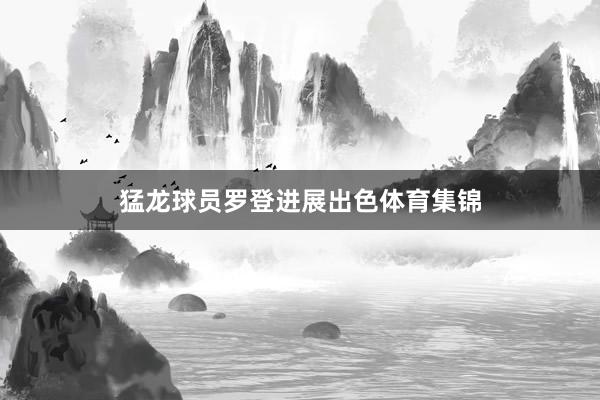猛龙球员罗登进展出色体育集锦