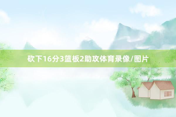 砍下16分3篮板2助攻体育录像/图片