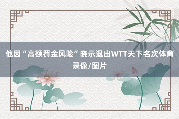 他因“高额罚金风险”晓示退出WTT天下名次体育录像/图片