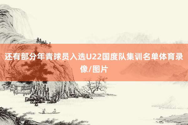 还有部分年青球员入选U22国度队集训名单体育录像/图片