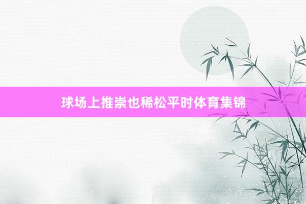 球场上推崇也稀松平时体育集锦