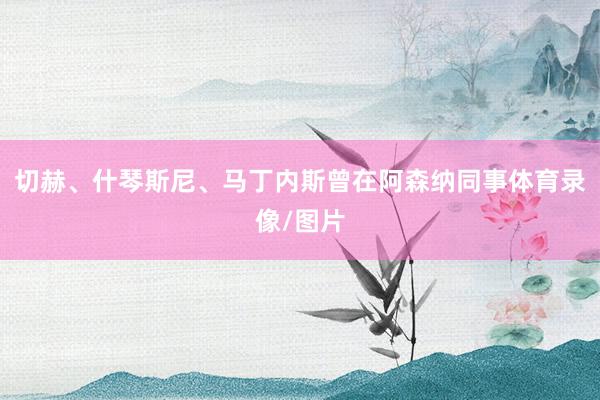 切赫、什琴斯尼、马丁内斯曾在阿森纳同事体育录像/图片