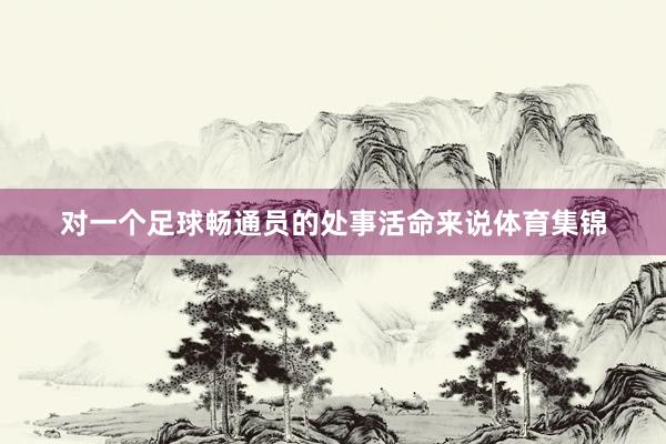 对一个足球畅通员的处事活命来说体育集锦