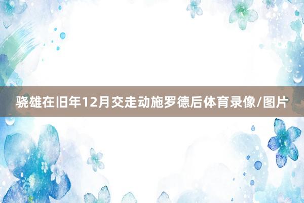 骁雄在旧年12月交走动施罗德后体育录像/图片