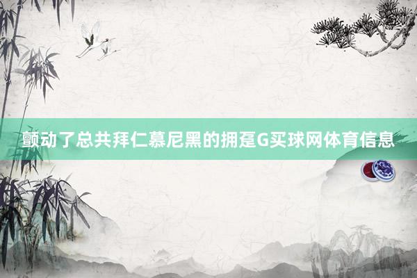 颤动了总共拜仁慕尼黑的拥趸G买球网体育信息
