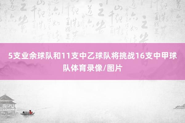 5支业余球队和11支中乙球队将挑战16支中甲球队体育录像/图片