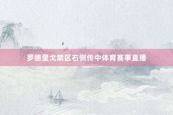 罗德里戈禁区右侧传中体育赛事直播