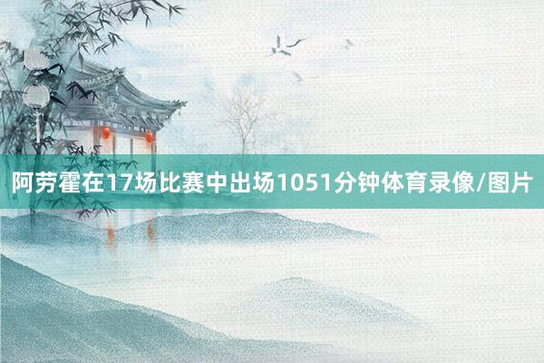 阿劳霍在17场比赛中出场1051分钟体育录像/图片