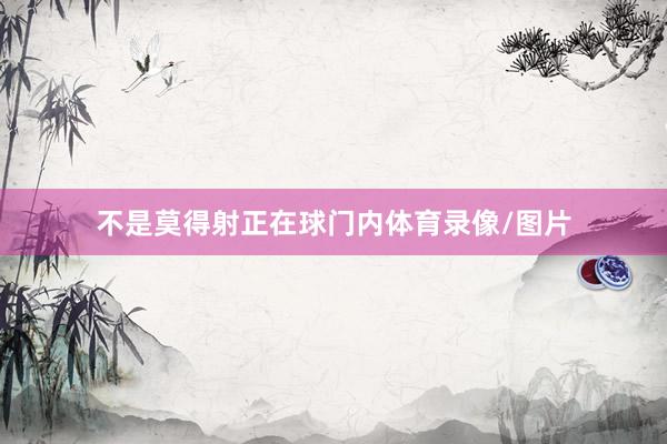 不是莫得射正在球门内体育录像/图片